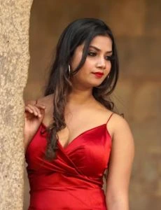 call girl service in Bhadra